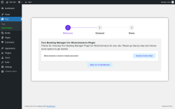 Page screenshot: Quick Setup ‹ Test site — WordPress