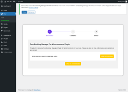 Page screenshot: Quick Setup ‹ Test site — WordPress