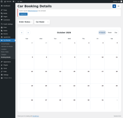 Page screenshot: Car Rentals → Booking Details
