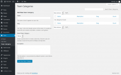 Page screenshot: Team &rarr; Team Category