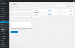 Page screenshot: Team &rarr; Team Tag