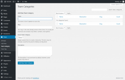 Page screenshot: Team &rarr; Team Category