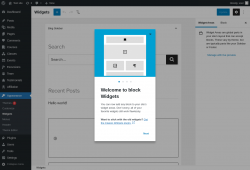 Page screenshot: Widgets &lsaquo; Test site &mdash; WordPress