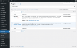 Page screenshot: Plugins &lsaquo; Test site &mdash; WordPress