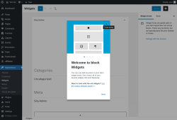 Page screenshot: Widgets &lsaquo; Test site &mdash; WordPress