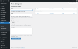 Page screenshot: Team &rarr; Team Category