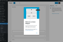 Page screenshot: Widgets &lsaquo; Test site &mdash; WordPress