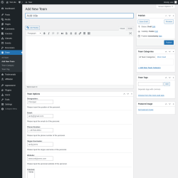 Page screenshot: Team &rarr; Add New Team