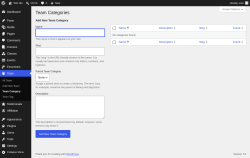 Page screenshot: Team &rarr; Team Category