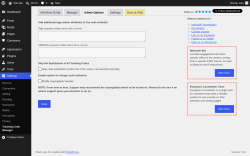 Page screenshot: Settings &rarr; Tracking Code Manager &rarr; Admin Options