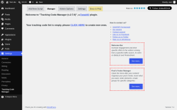 Page screenshot: Settings &rarr; Tracking Code Manager