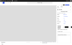 Page screenshot: Add Page &lsaquo; Test site &mdash; WordPress