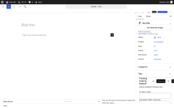 Page screenshot: Add Post &lsaquo; Test site &mdash; WordPress