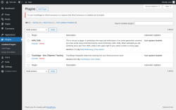 Page screenshot: Plugins &lsaquo; Test site &mdash; WordPress