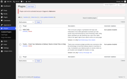 Page screenshot: Plugins &lsaquo; Test site &mdash; WordPress