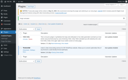 Page screenshot: Plugins ‹ Test site — WordPress