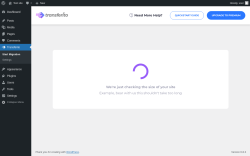 Page screenshot: Transferito