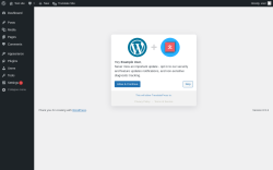 Page screenshot: TranslatePress Optin ‹ Test site — WordPress