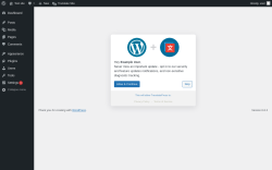 Page screenshot: TranslatePress Optin &lsaquo; Test site &mdash; WordPress