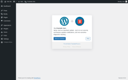 Page screenshot: Settings → TranslatePress