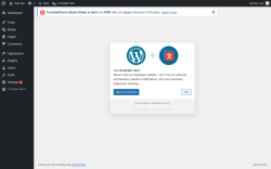 Page screenshot: Settings → TranslatePress