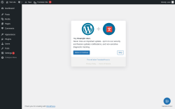 Page screenshot: Settings &rarr; TranslatePress
