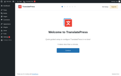 Page screenshot: Setup Wizard &lsaquo; Test site &mdash; WordPress