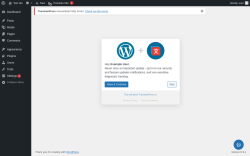 Page screenshot: Settings &rarr; TranslatePress