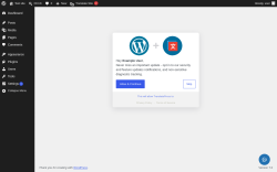 Page screenshot: Settings &rarr; TranslatePress