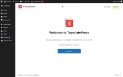 Page screenshot: Setup Wizard &lsaquo; Test site &mdash; WordPress