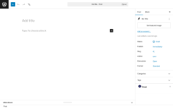 Page screenshot: Add Post &lsaquo; Test site &mdash; WordPress