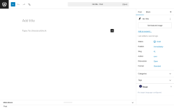 Page screenshot: Add Post &lsaquo; Test site &mdash; WordPress