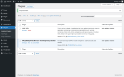 Page screenshot: Plugins ‹ Test site — WordPress