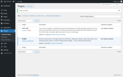 Page screenshot: Plugins &lsaquo; Test site &mdash; WordPress