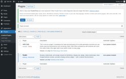 Page screenshot: Plugins &lsaquo; Test site &mdash; WordPress