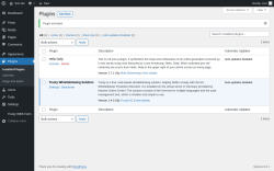 Page screenshot: Plugins &lsaquo; Test site &mdash; WordPress