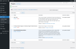 Page screenshot: Plugins &lsaquo; Test site &mdash; WordPress