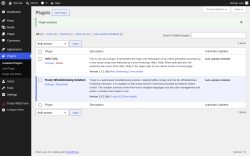 Page screenshot: Plugins &lsaquo; Test site &mdash; WordPress