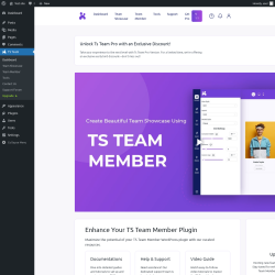 Page screenshot: TS Team