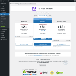 Page screenshot: TS Team → Upgrade  ➤