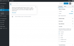 Page screenshot: Add New Page &lsaquo; Test site &mdash; WordPress