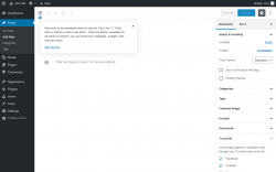Page screenshot: Add New Post &lsaquo; Test site &mdash; WordPress