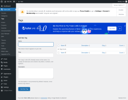 Page screenshot: Tutor LMS &rarr; Tags