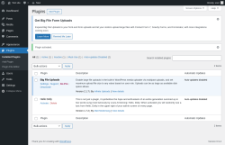 Page screenshot: Plugins &lsaquo; Test site &mdash; WordPress