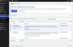 Page screenshot: Plugins &lsaquo; Test site &mdash; WordPress