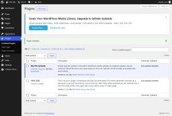 Page screenshot: Plugins &lsaquo; Test site &mdash; WordPress