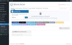 Page screenshot: Revive Social