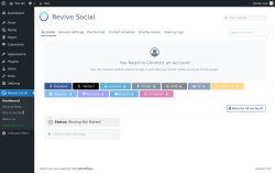 Page screenshot: Revive Social