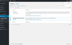 Page screenshot: Plugins ‹ Test site — WordPress
