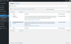 Page screenshot: Plugins ‹ Test site — WordPress